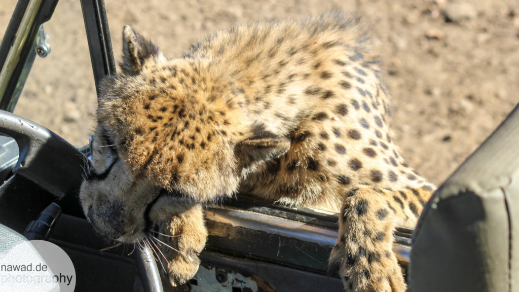 20131021-Namibia-IMG_1609